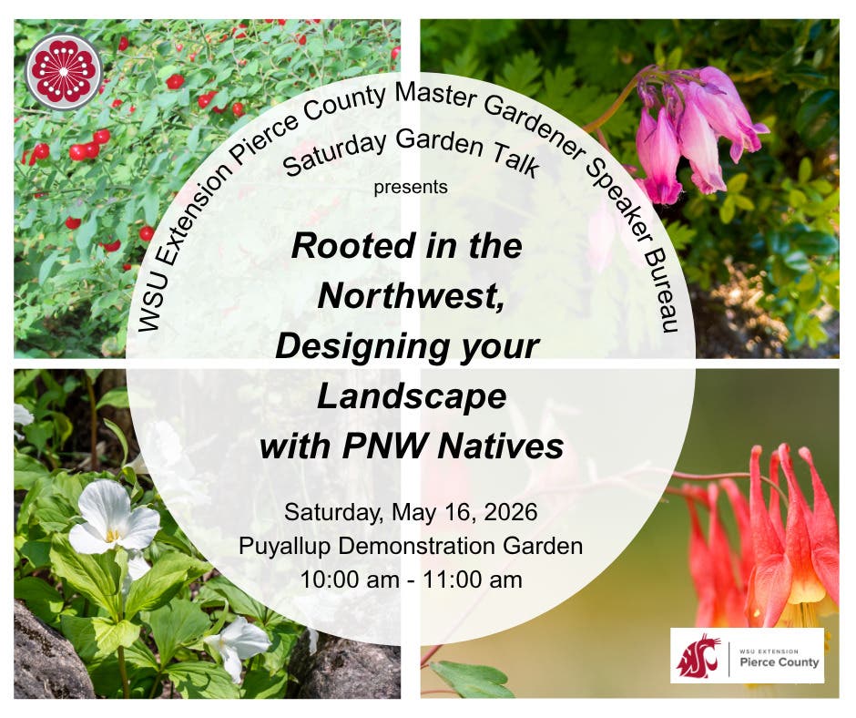 Rooted in the PNW: Embracing Native Plants in Your Garden