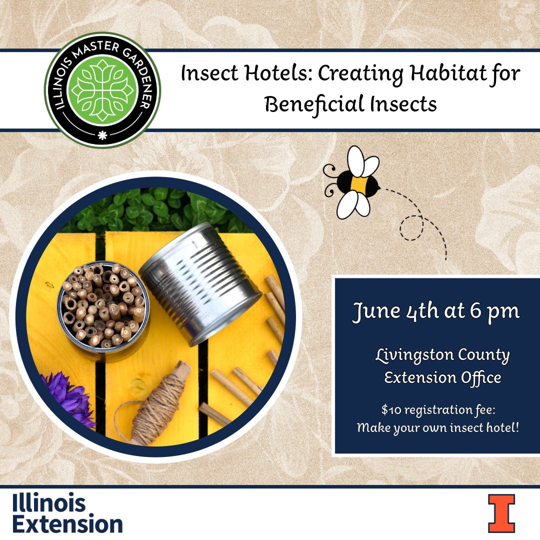 Insect Hotels: Creating Habitat for Beneficial Insects