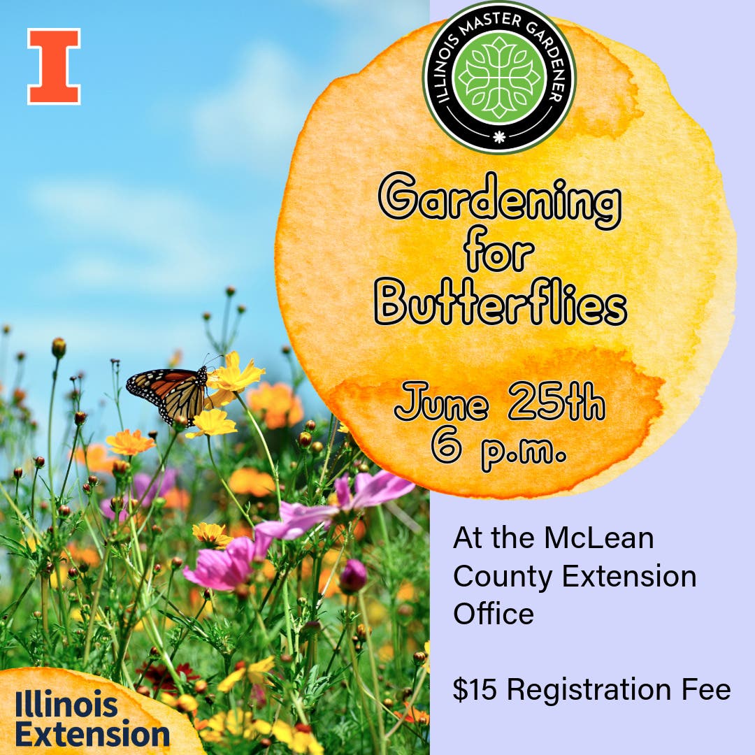 Gardening for Butterflies: Pollinator Workshop