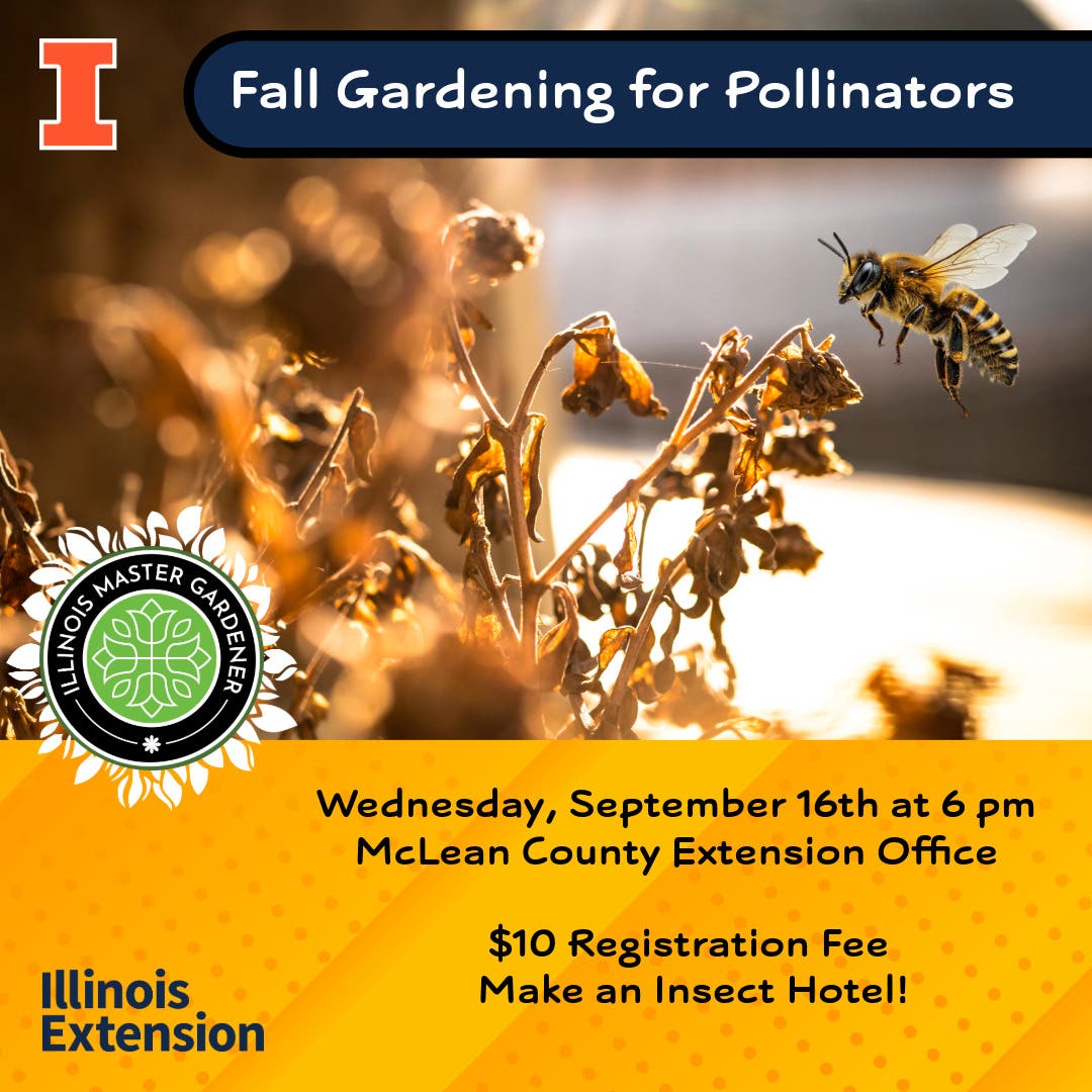 Fall Gardening for Pollinators: Make an Insect Hotel!