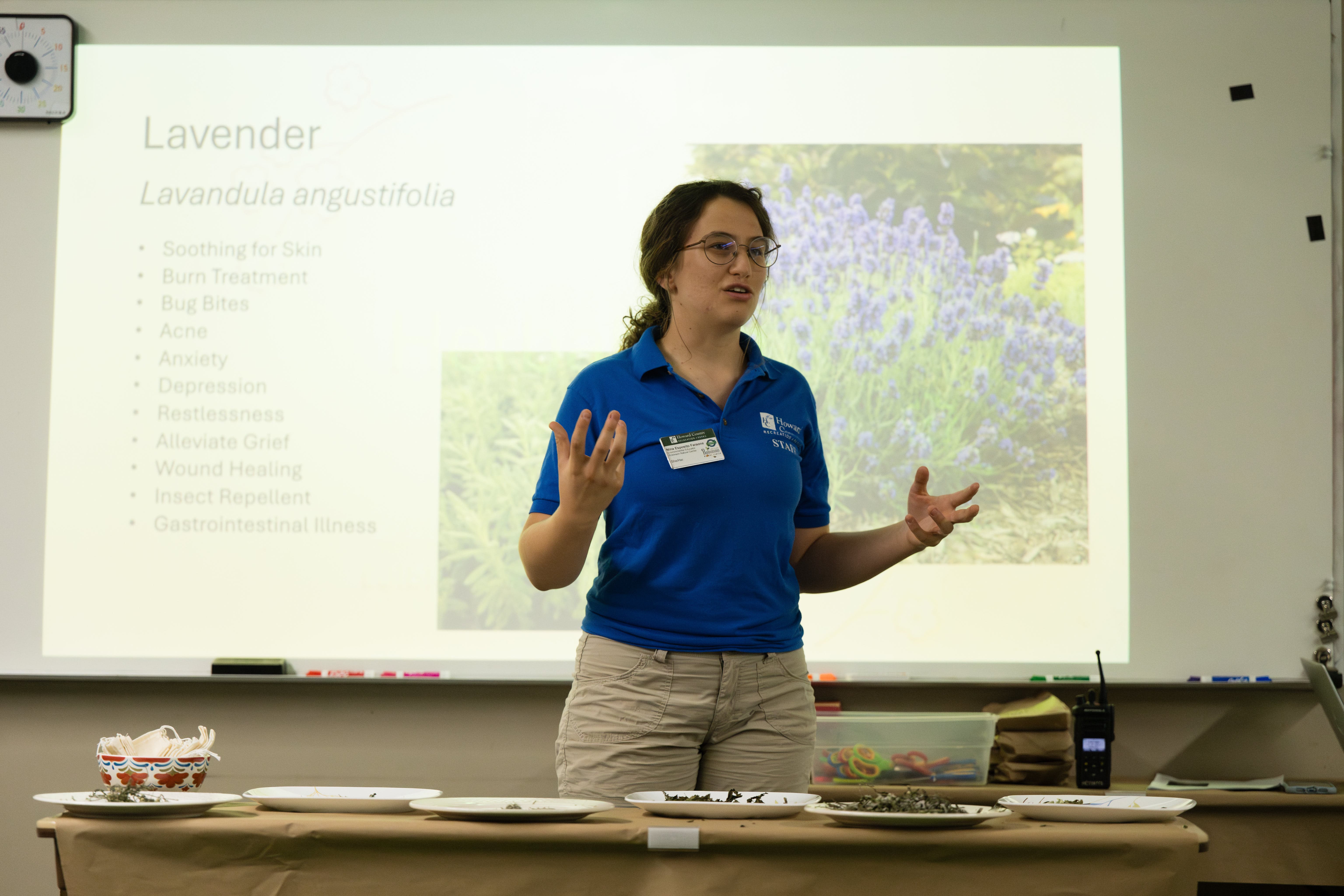 Edible & Medicinal Plant Workshop - Herbal Iced Tea