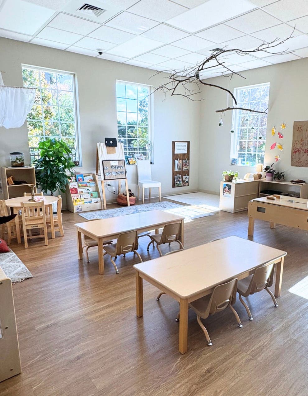 Ivybrook Academy Bala Cynwyd Opens Its Doors for Summer Camp