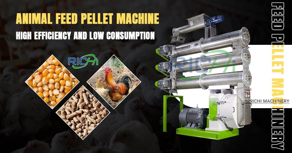 Advanced Automatic Feed Systems for Modern Broiler Feed Manufacturing
