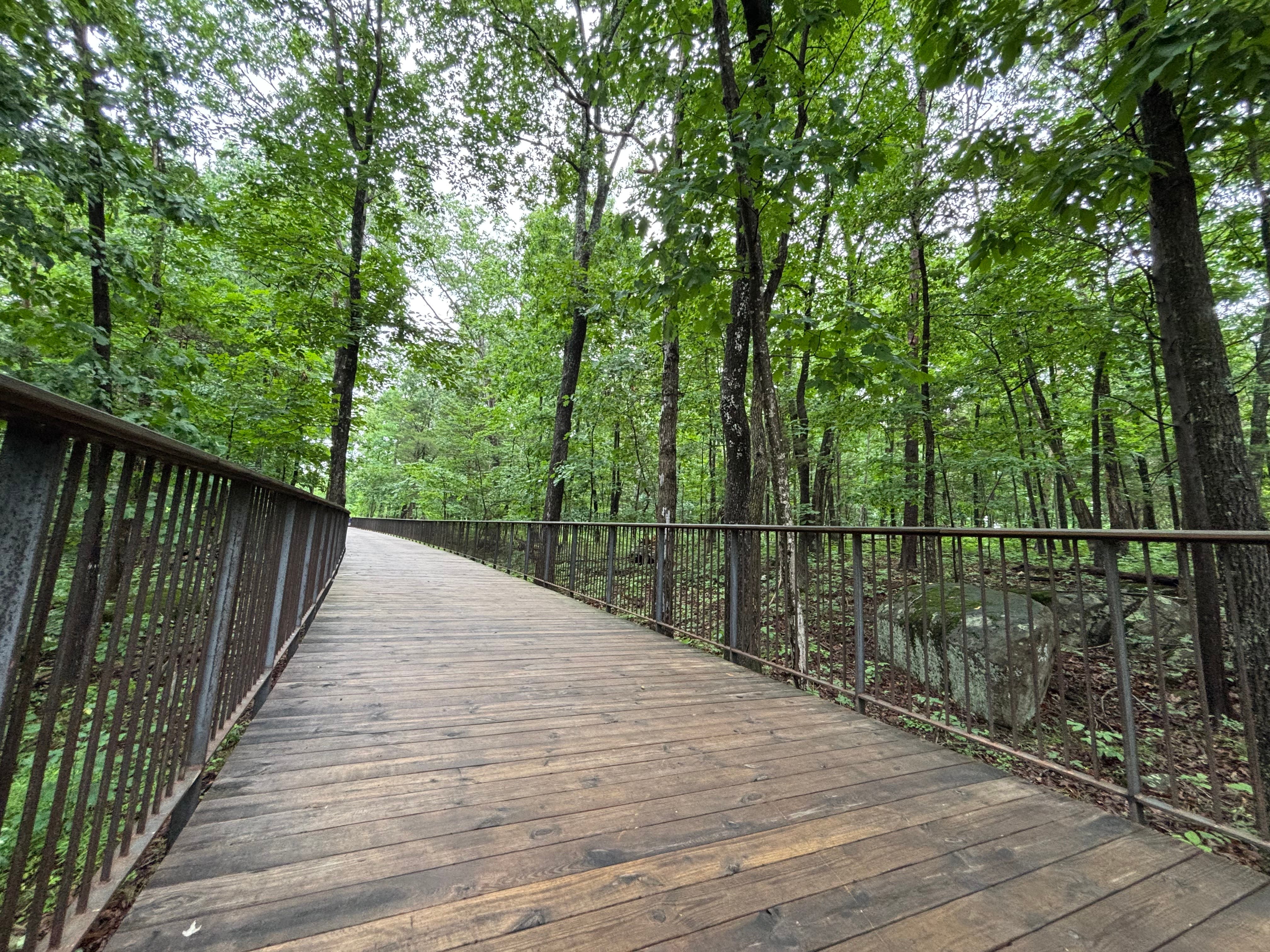 🍃 A Sensory Journey in Nature: Accessible Forest Bathing ✨