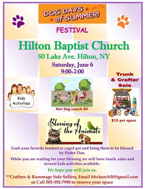 Dog Days Of Summer! Festival