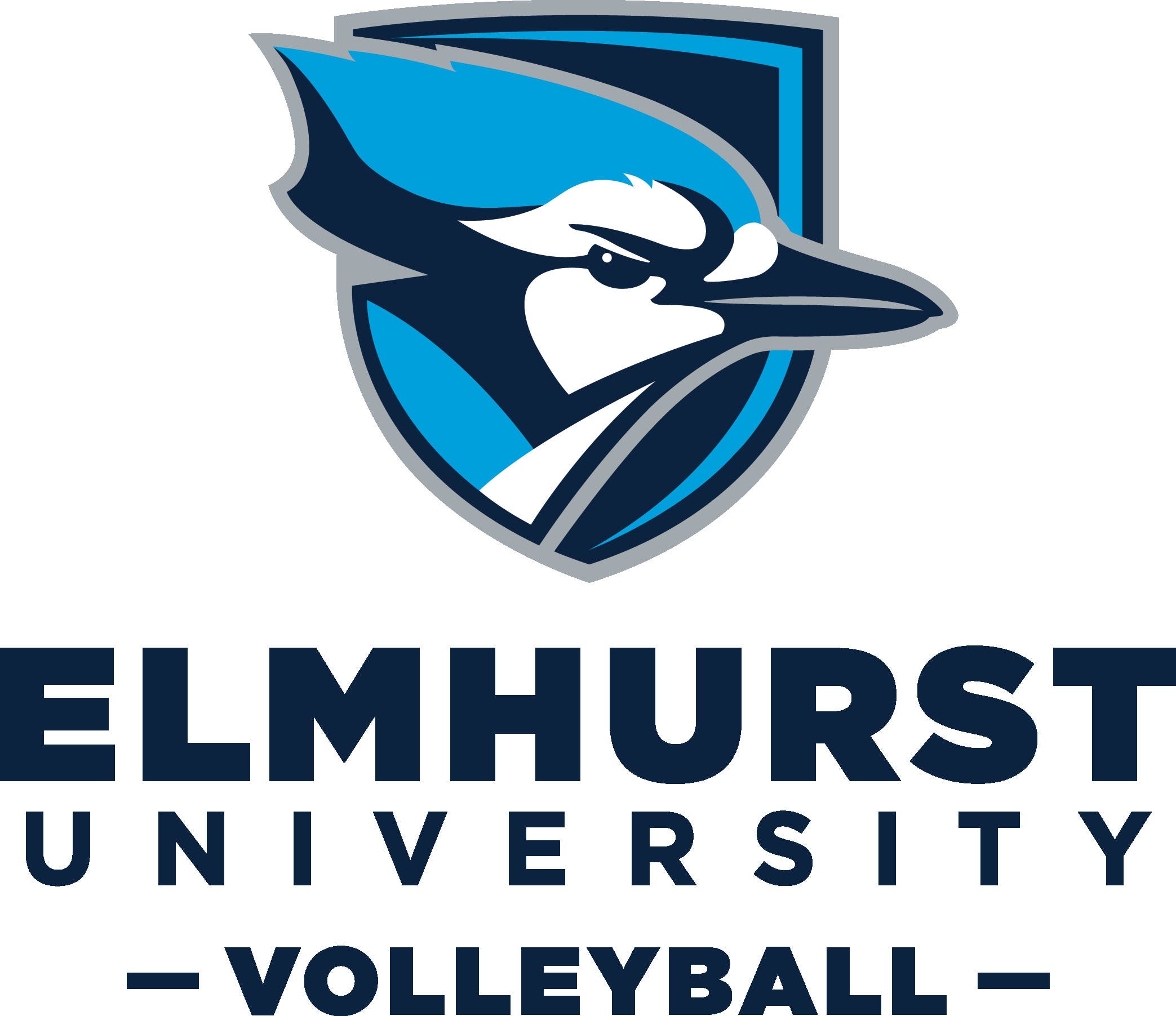 Elmhurst University Volleyball Kids Camp