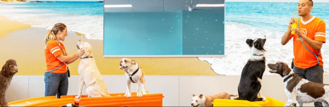 Dogtopia of Hillsboro