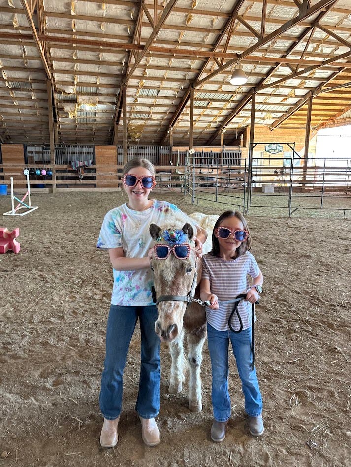 Mini Horse Moments Camp Ages 8+ (June 9th, 10th, and 11th)
