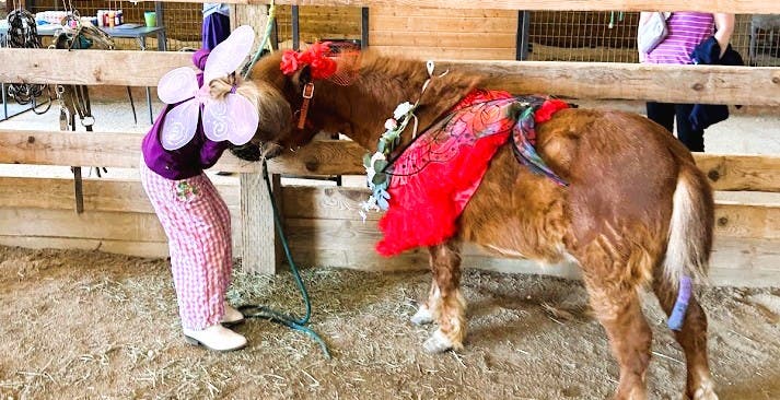 Mini Horse Moments Camp Ages 4-8 (June 16th, 17th, and 18th)