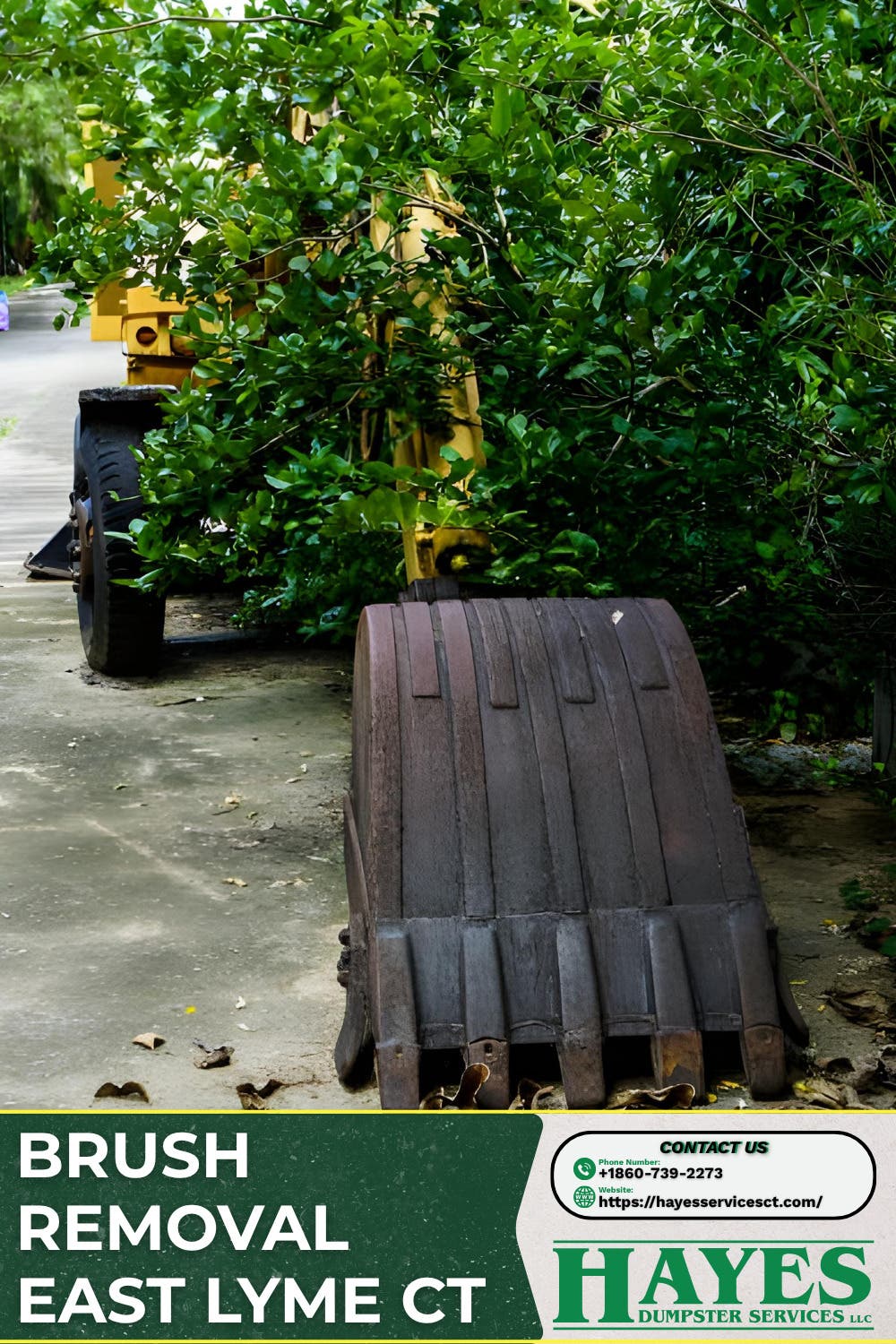Brush Removal East Lyme CT: Professional Land Clearing and Yard Cleanup Services
