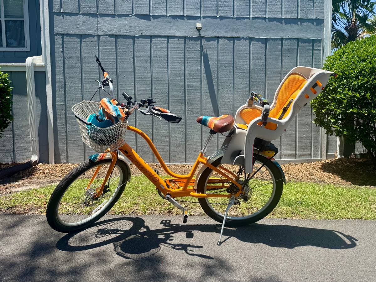 Electra Townie Go! 7D Ziggy E-Bike & Full Accessory Package