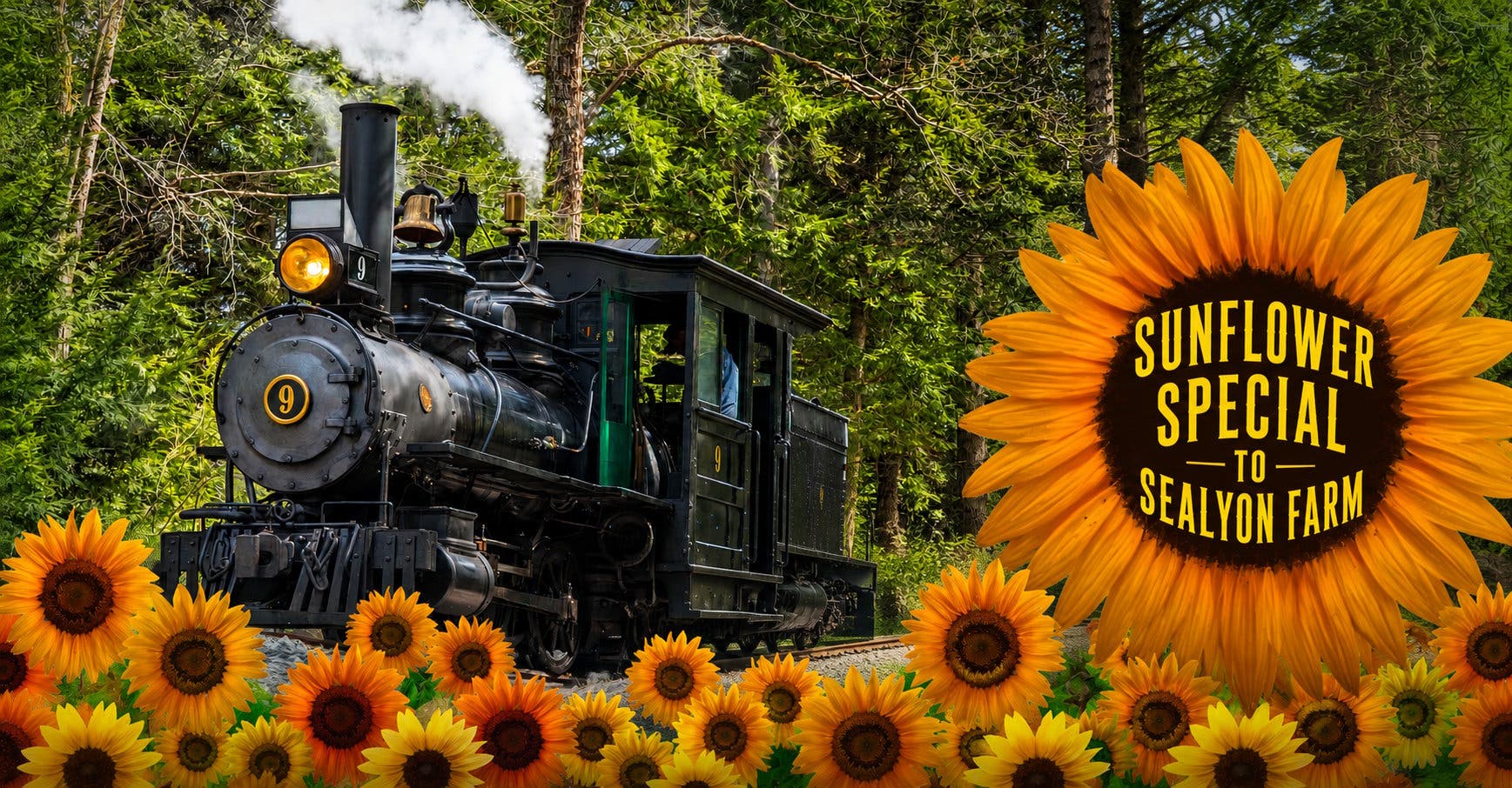 Sunflower Special to SeaLyon Farm