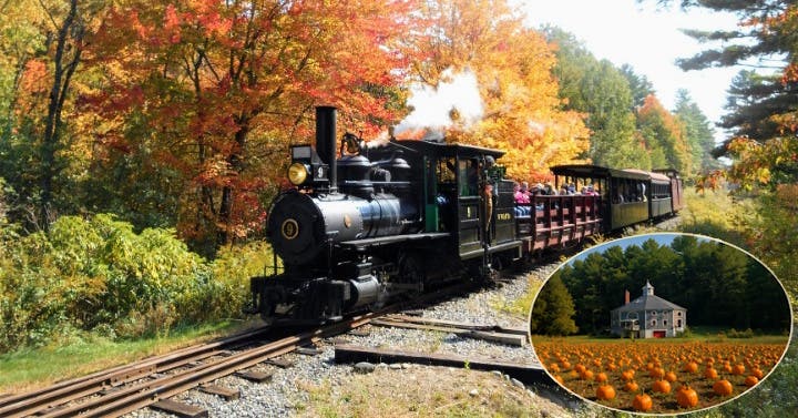 Pumpkin Pickin' Train to SeaLyon Farm