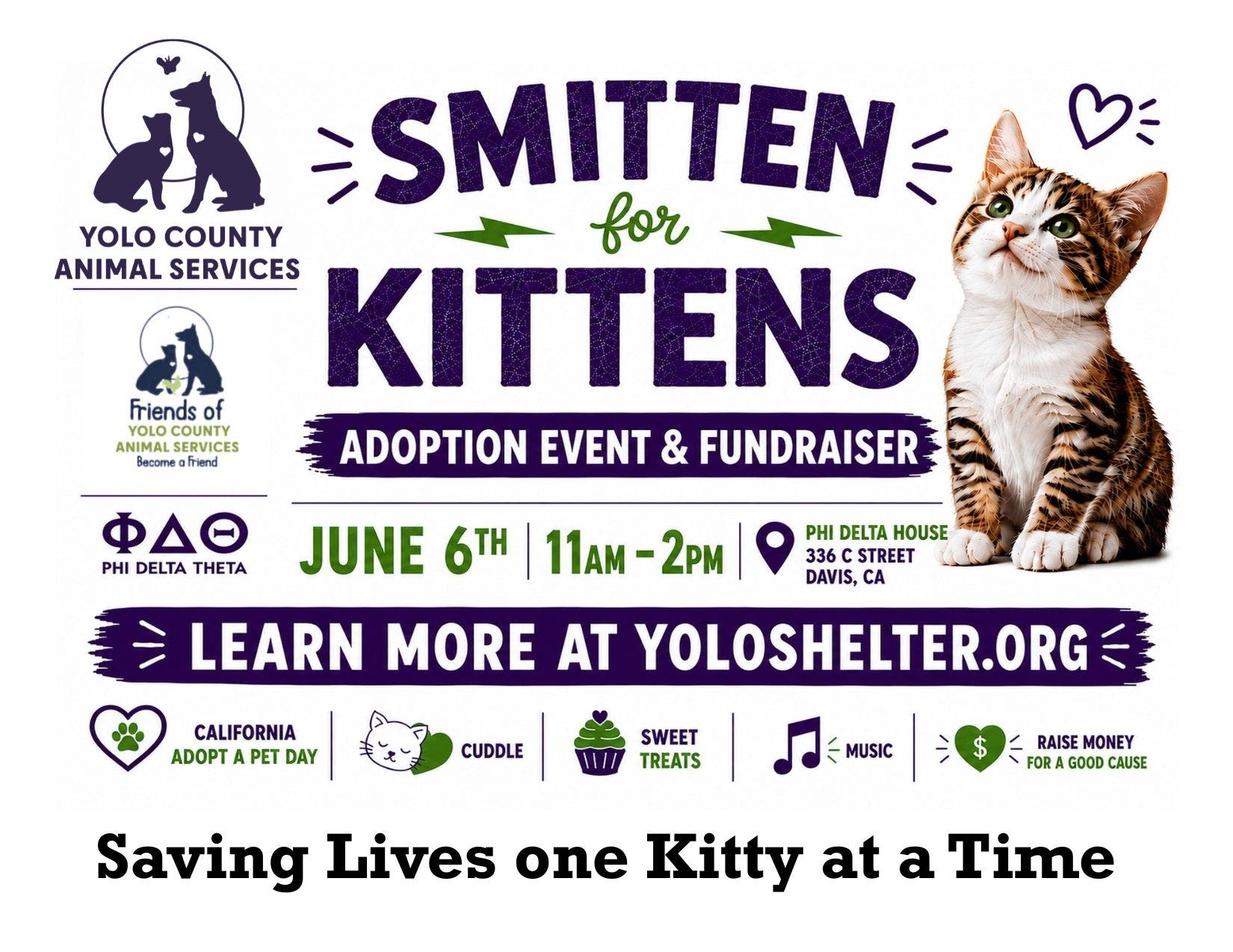 6th Annual Smitten Adoption and Fundraiser - Support the Yolo County Animal Services