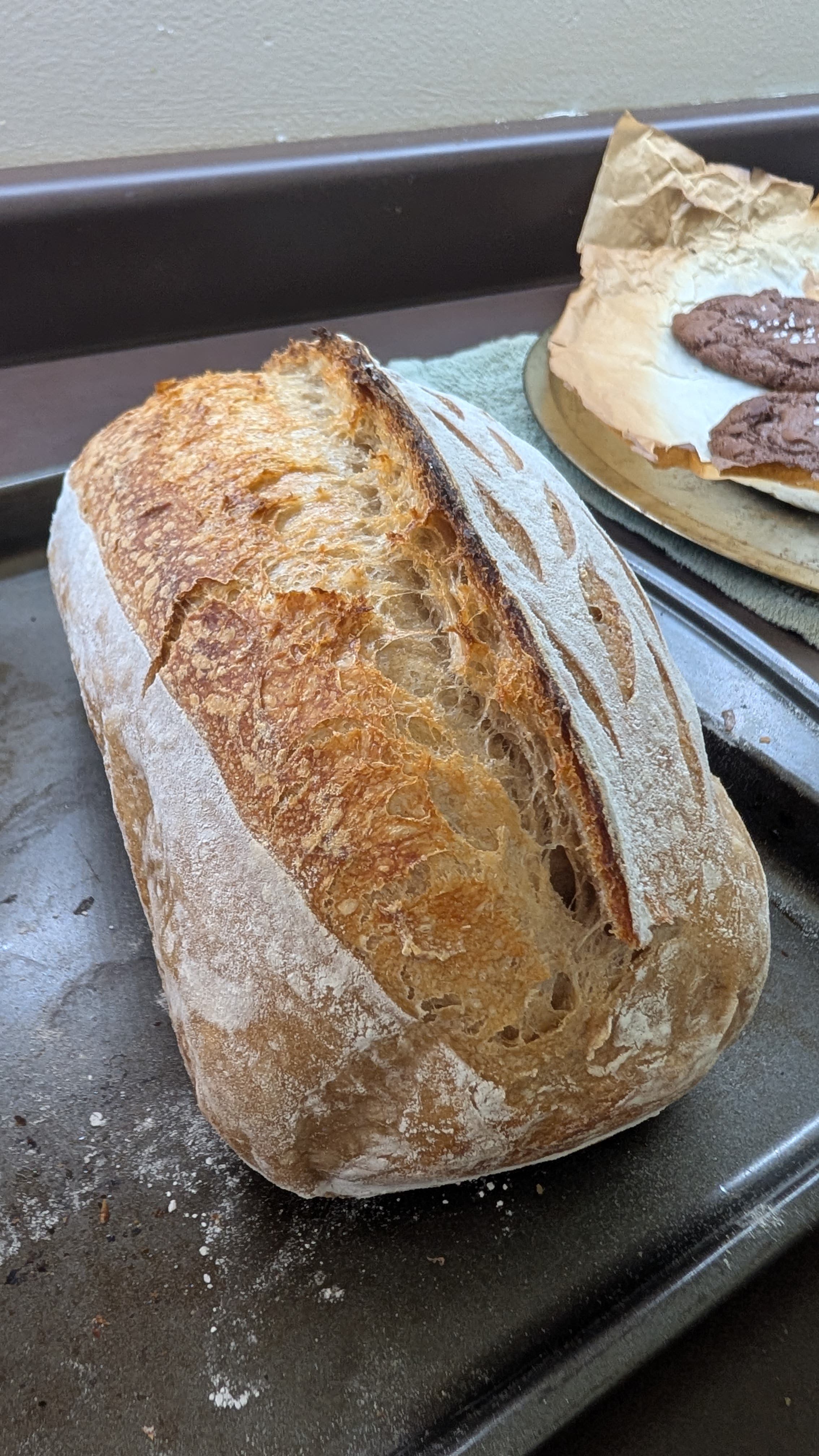 Sourdough 