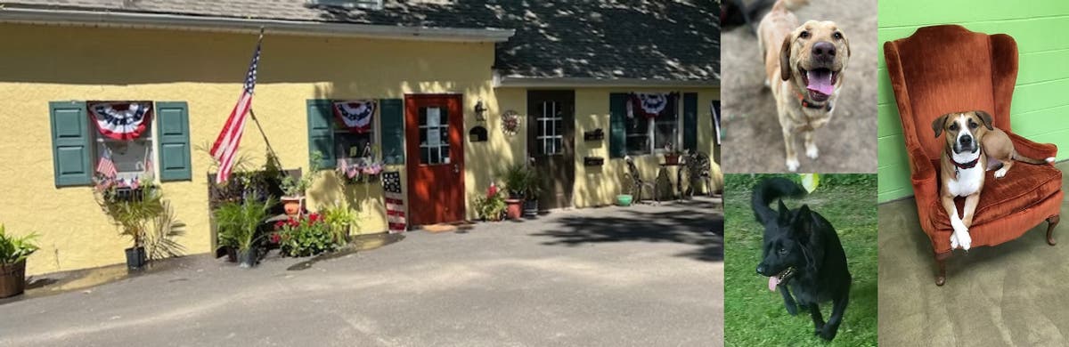 Bowwow Boardinghouse Grooming and Doggie Daycare