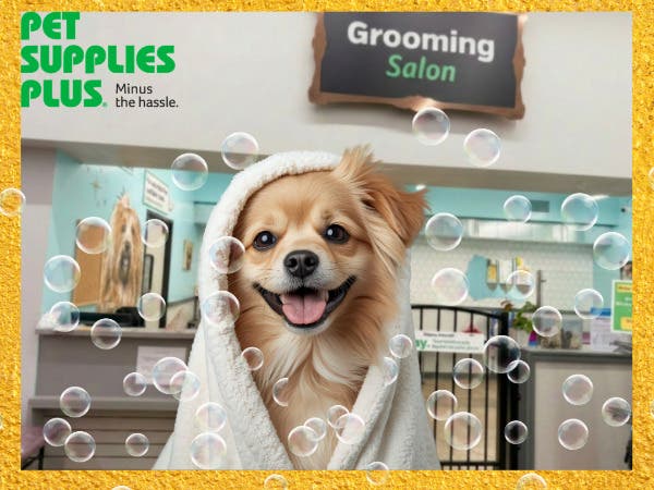 Pet Supplies Plus