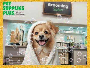Pet Supplies Plus