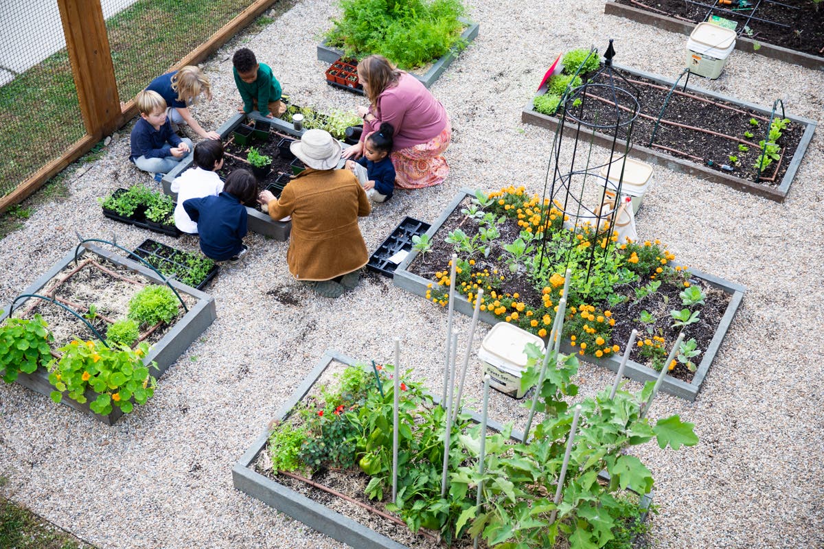 Students Working in the Garden