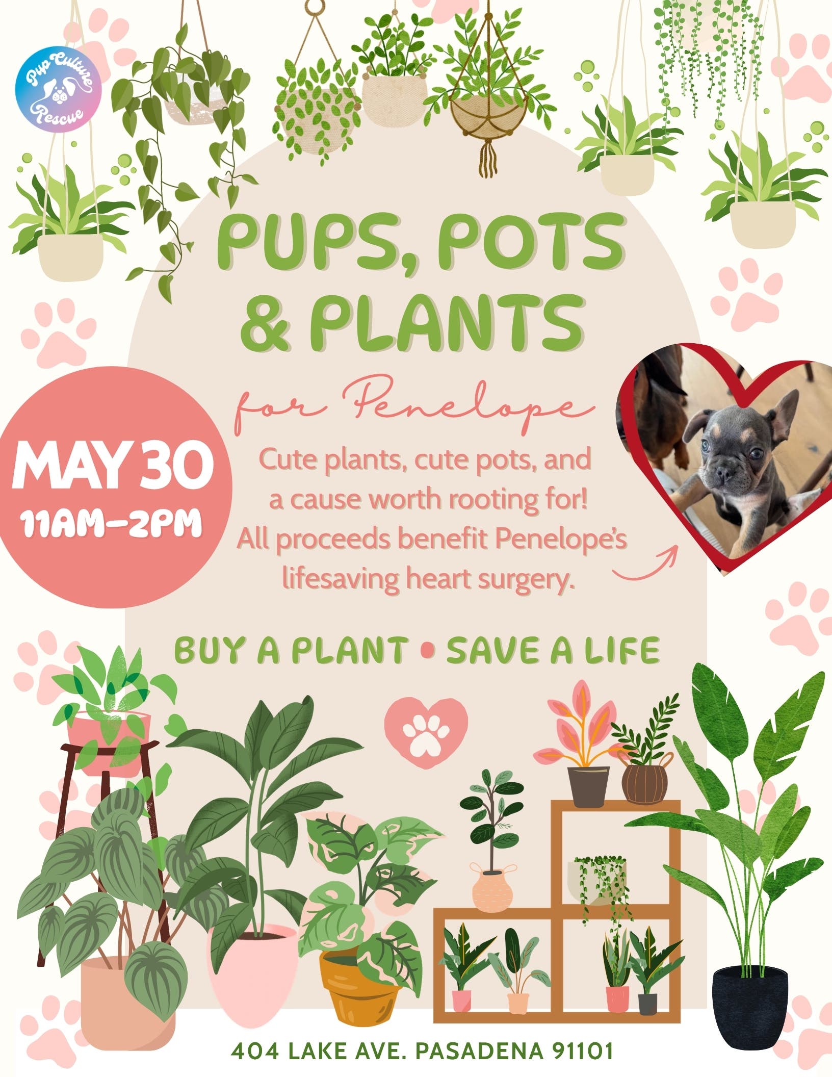 Pups, Pots & Plants for Penelope Fundraiser Sale