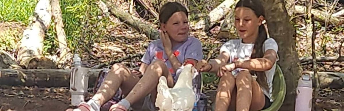 ROOTS Farm & Forest School - Frankford