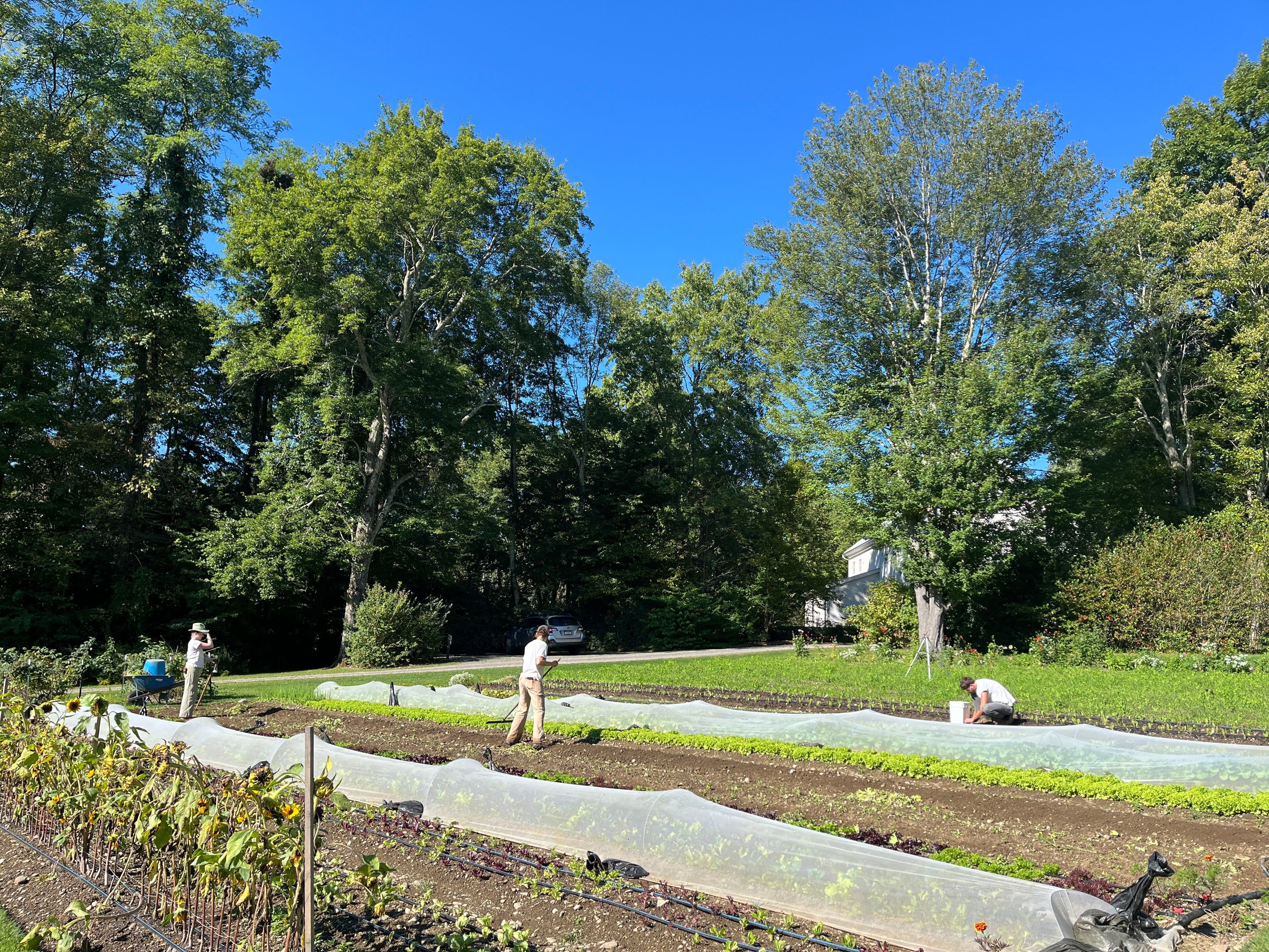 Community Foundations of the Hudson Valley Awards Over $1 Million in Farm Fresh Food Grants
