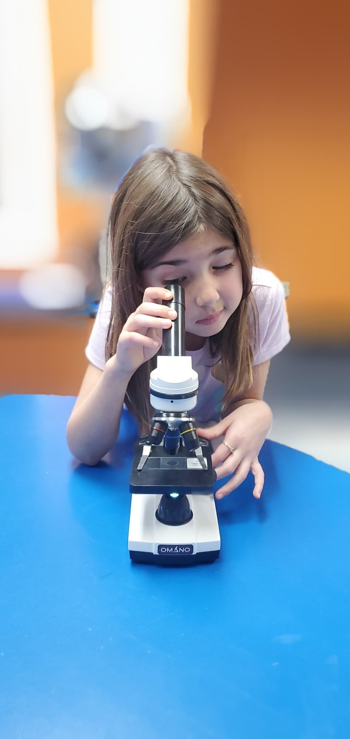 Stemtree of Kirkland Enrichment Programs Grand Opening Event: 