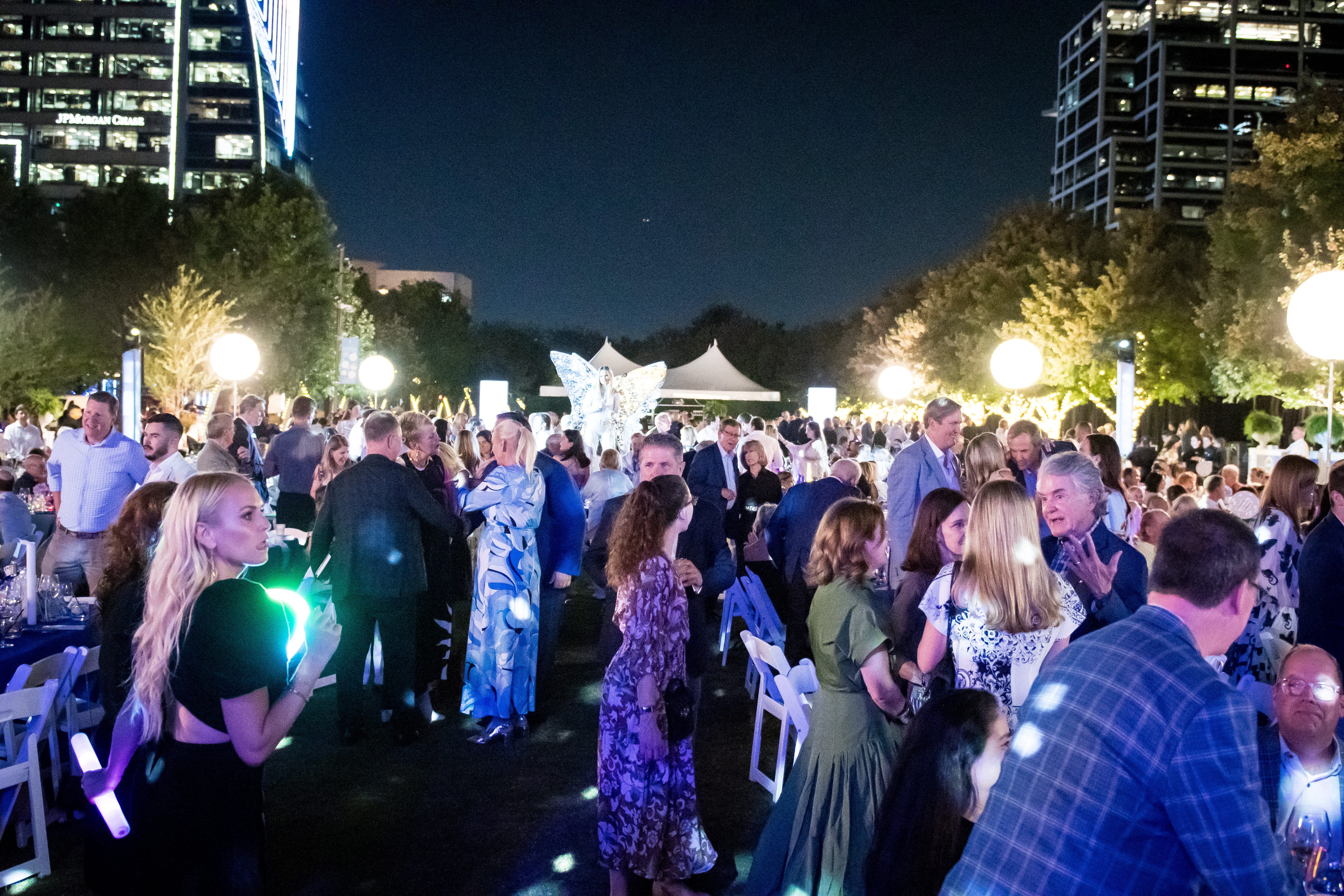Party in the Park