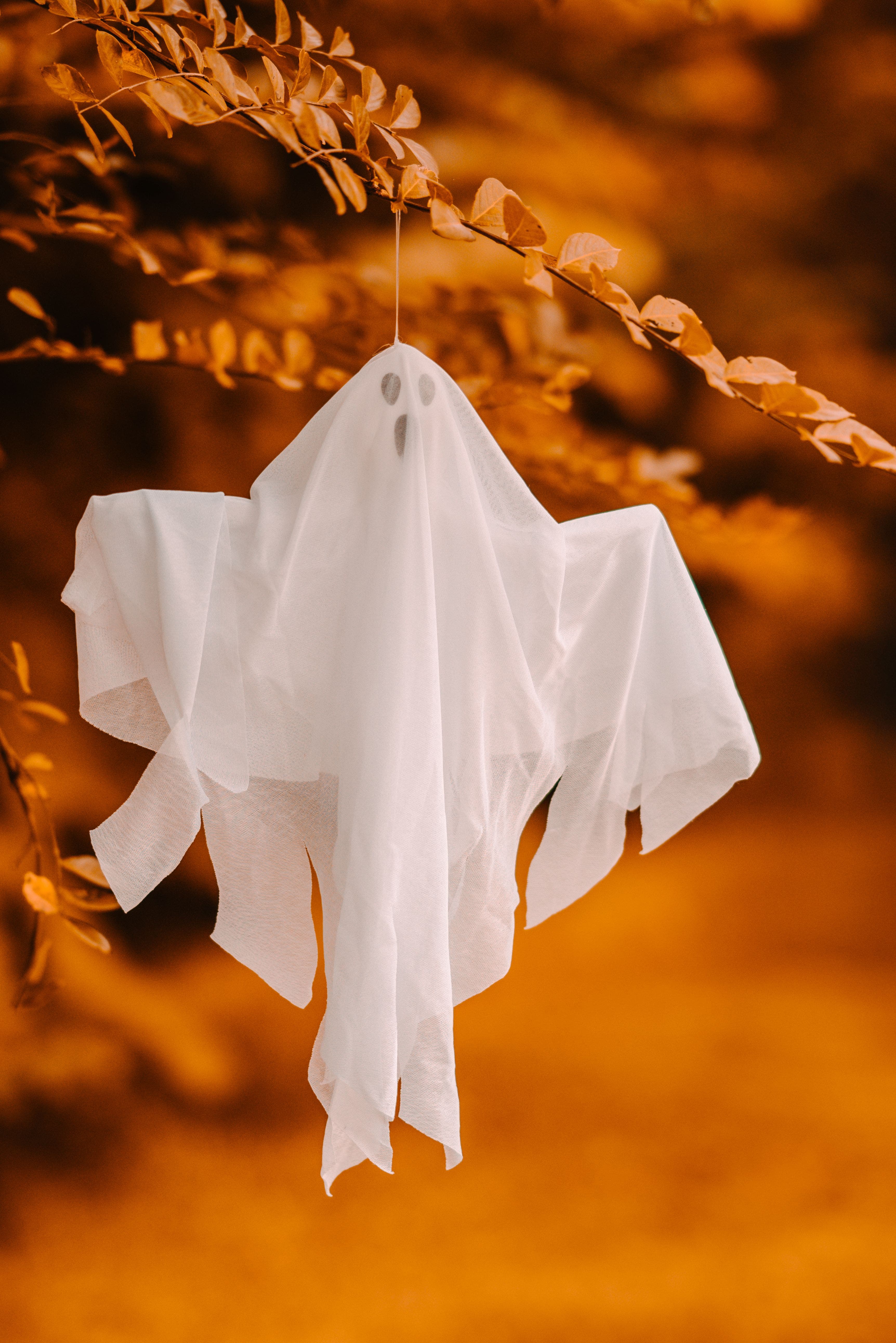 Cheesecloth Ghosts