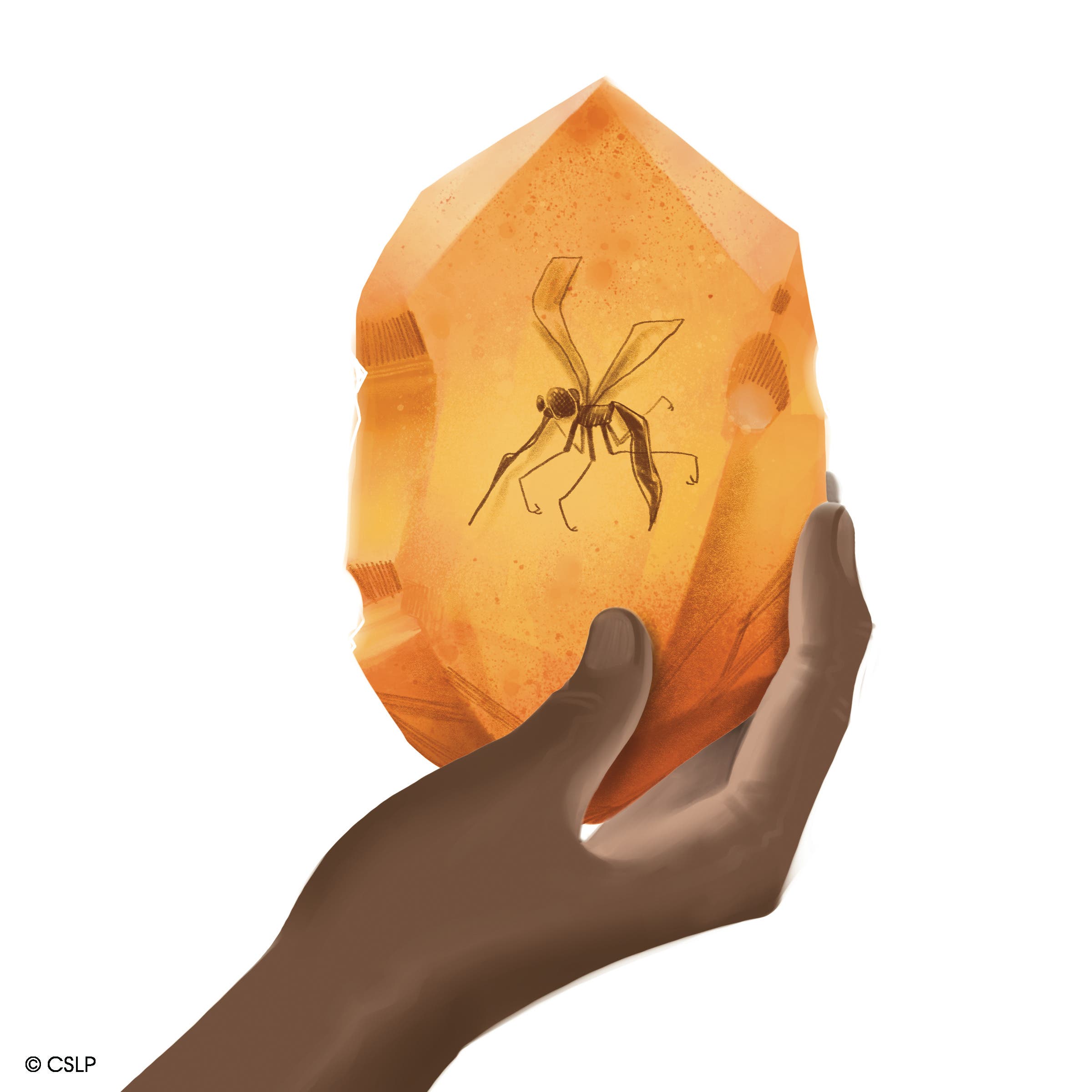 Paleo Pop-Up: Fantastic Fossils