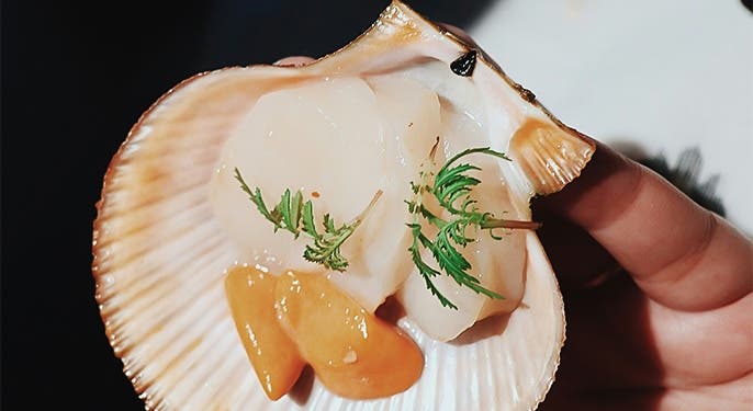 Oyster Omakase at Skipjack Oyster