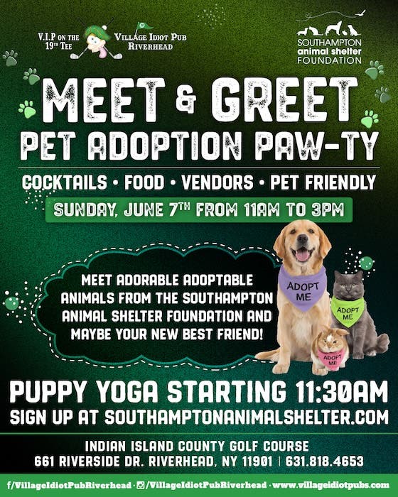 Puppy Yoga Paw-ty at Village Idiot