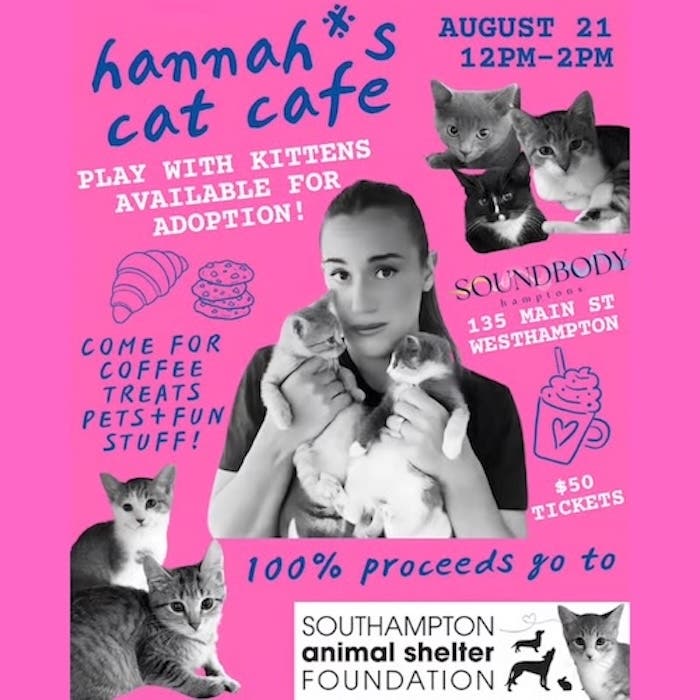 Hannah Berner's Cat Café