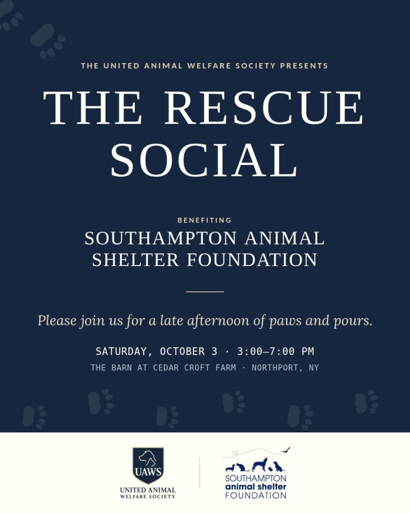 The Rescue Social