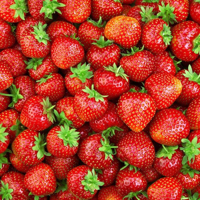 Strawberry Day