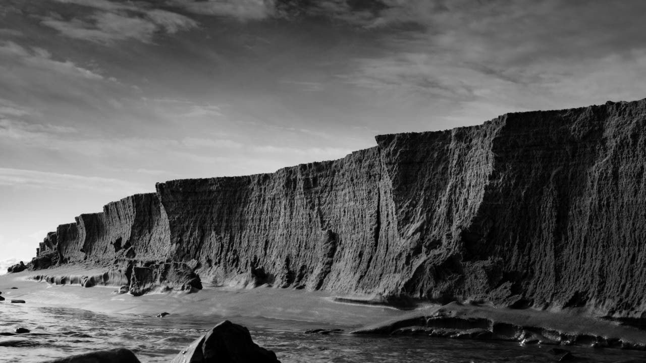 Hidden Scenes at the Beach: Driftwood Photography by Phil Johnston