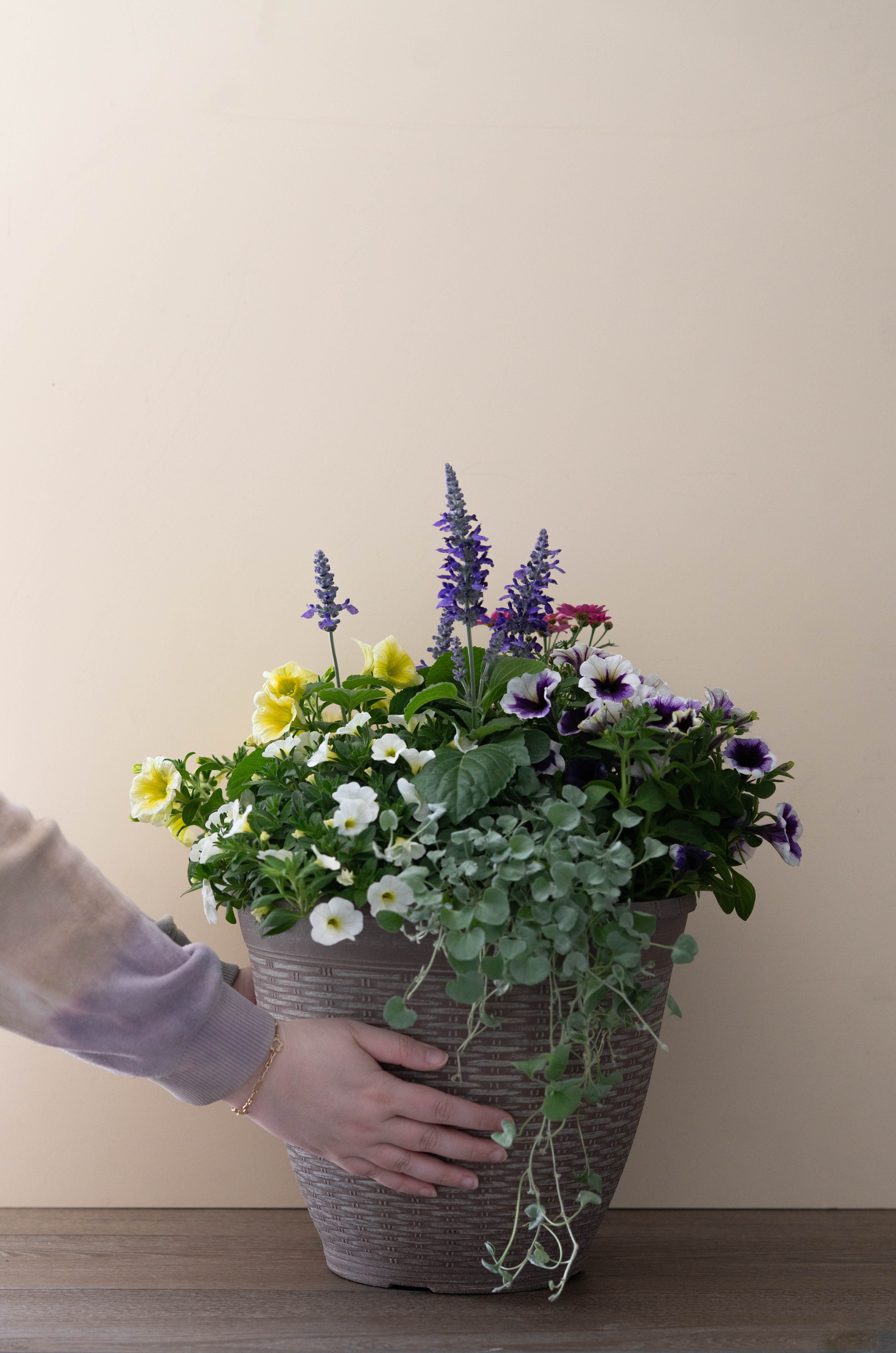 Make-n-Take: Heat Tolerant Container Garden at Mahoney's Concord