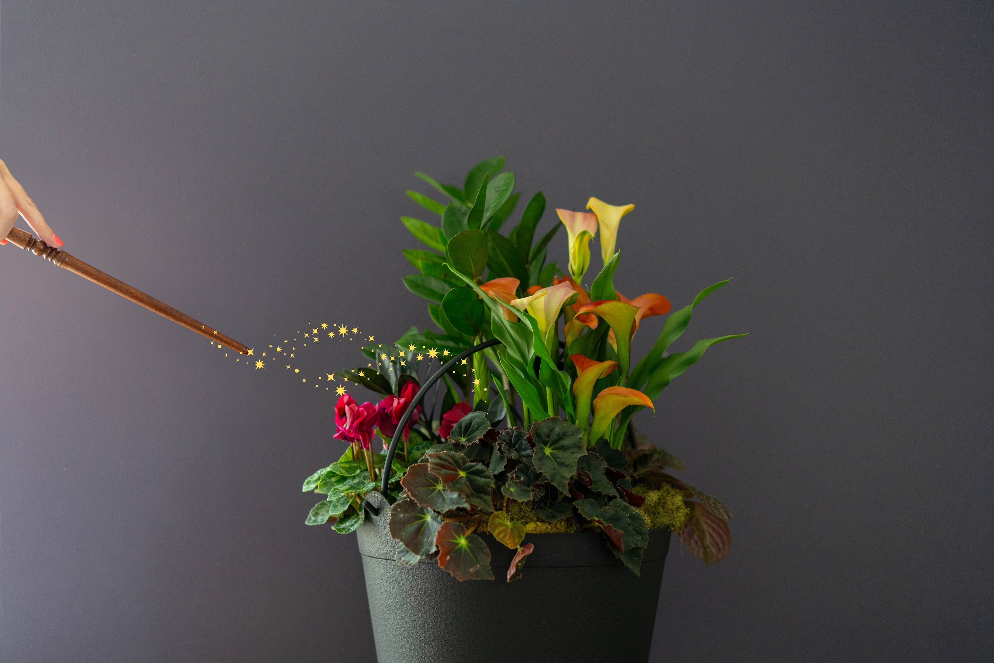 Create Your Own Spooky Cauldron Planter at Mahoney's Winchester
