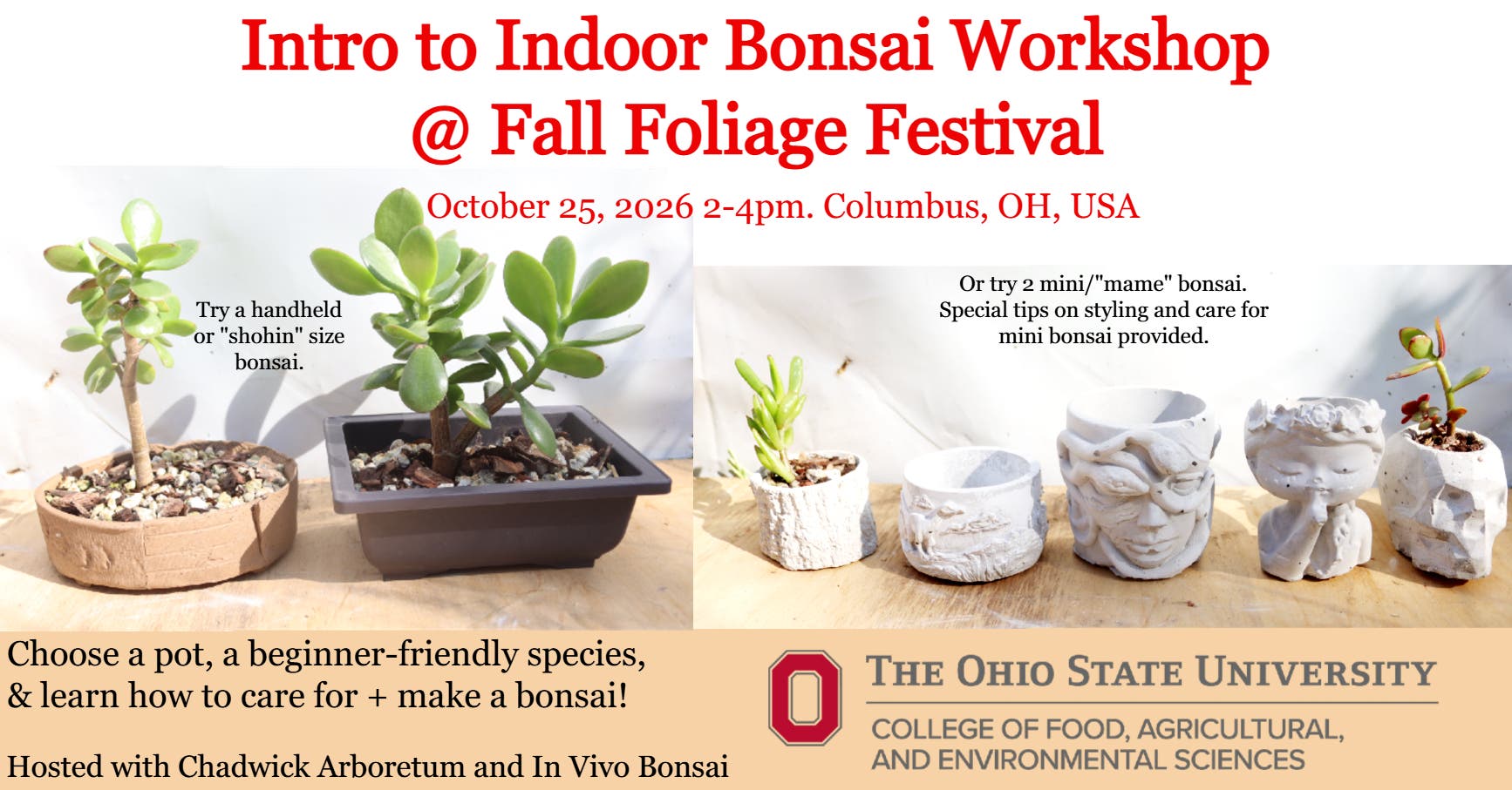 Intro to Indoor & Mini Bonsai Workshop @ Fall Foliage Festival