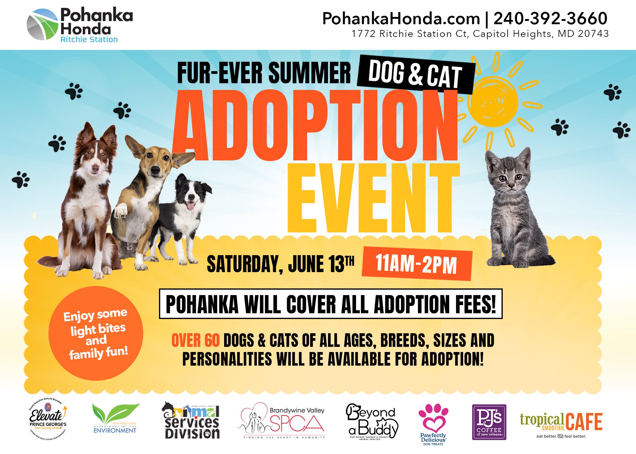 Fur-ever Summer Dog & Cat Adoption Event πΎ No Adoption Fees! ππββ¬