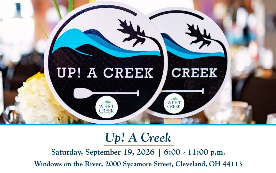 Up! A Creek