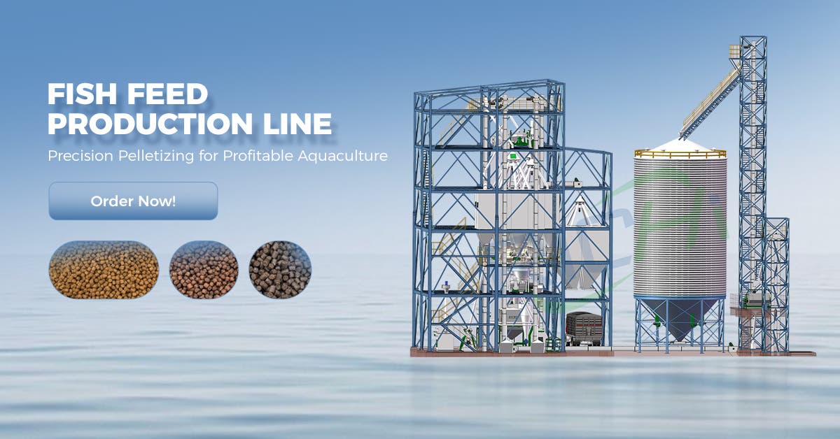Fish Feed Production Line: A Smarter Way to Produce High-Quality Aquatic Feed
