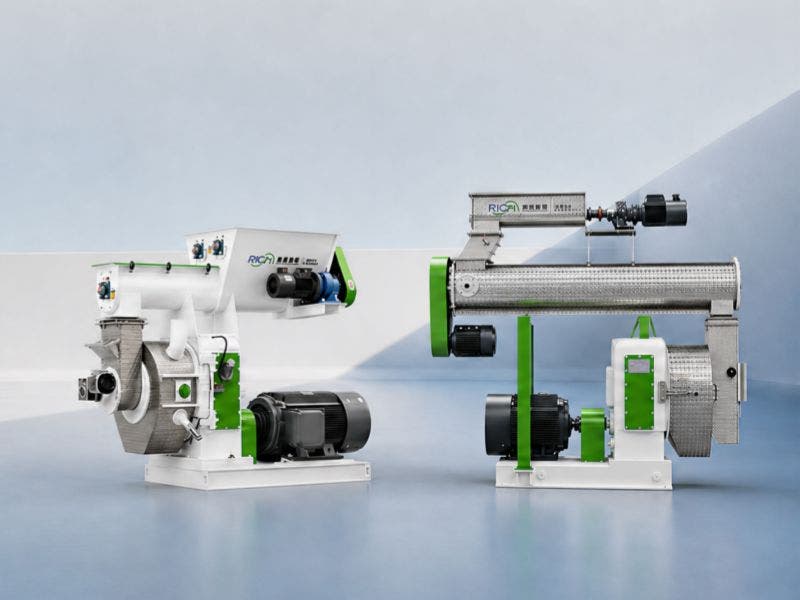 Cat Litter Pellet Machine: Choosing the Right Production Setup