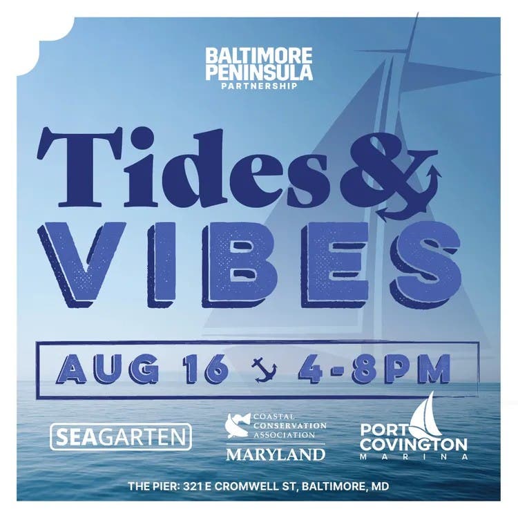 Tides & Vibes