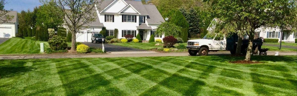 Orange Landscaping LLC