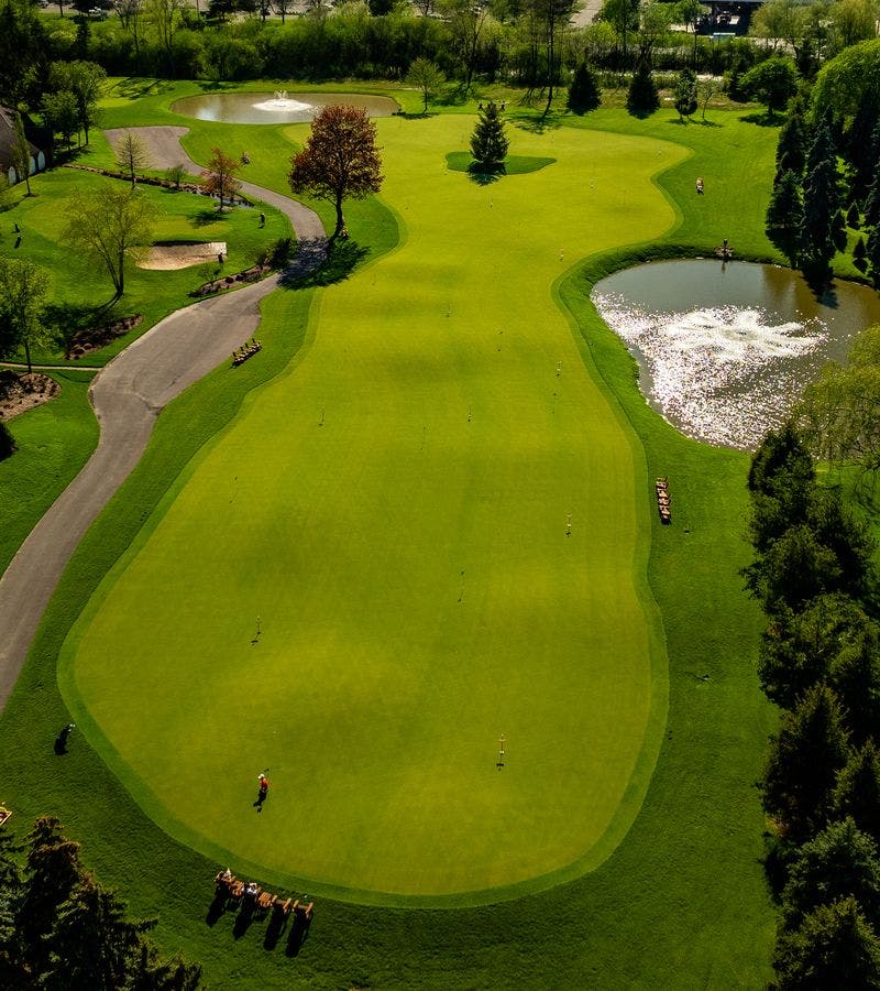 The Cardinal Putting Party: Electric Greens