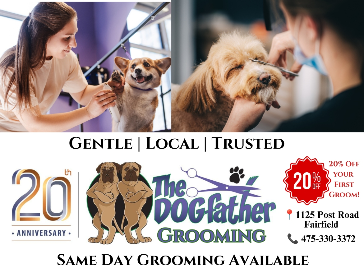 "Dogfather Grooming, now open at 1125 Post Road, Fairfield."