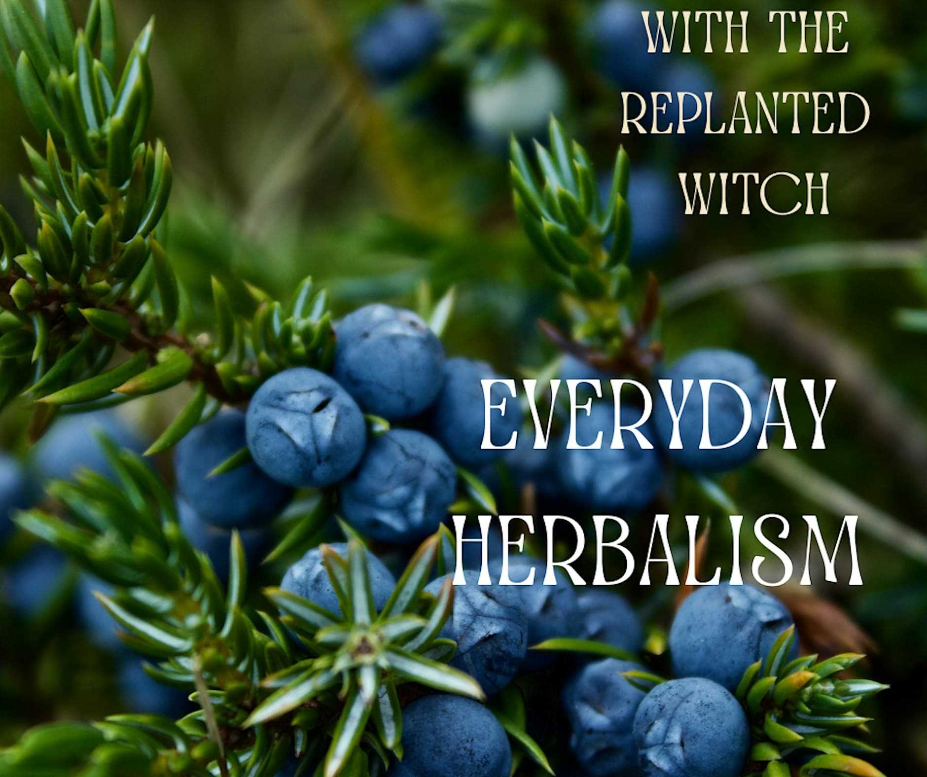 Everyday Herbalism 