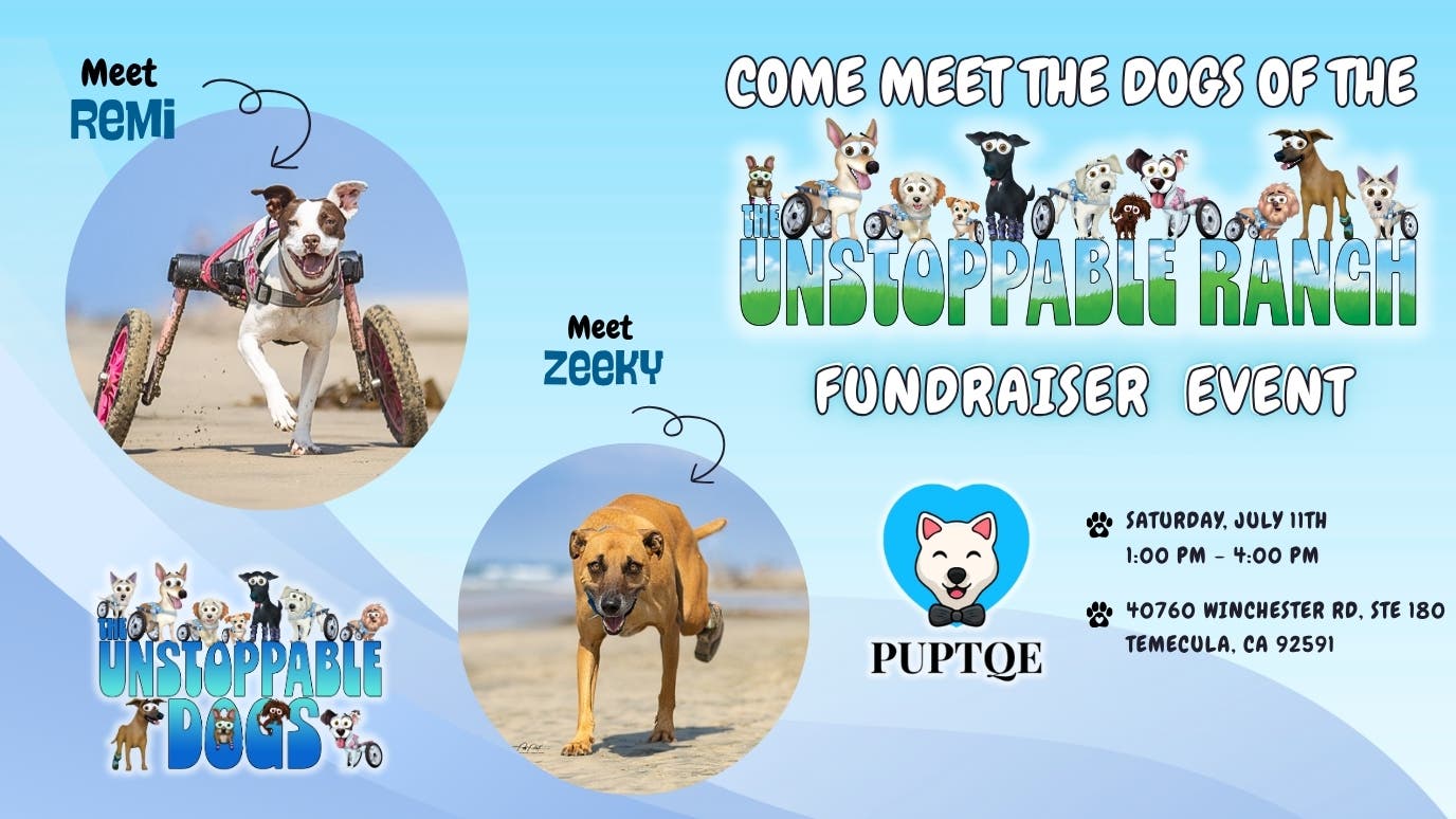 Meet the Dogs of the Unstoppable Ranch Fundraiser
