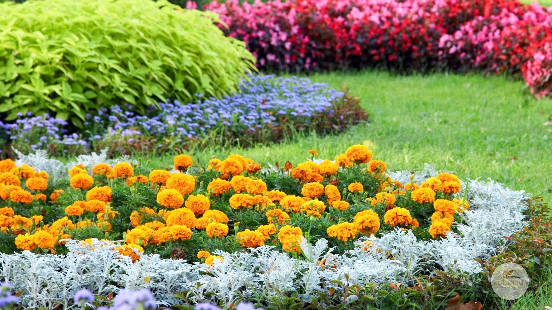 The Backyard Story Every Fort Wayne Homeowner Deserves
